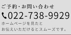 022-738-9929